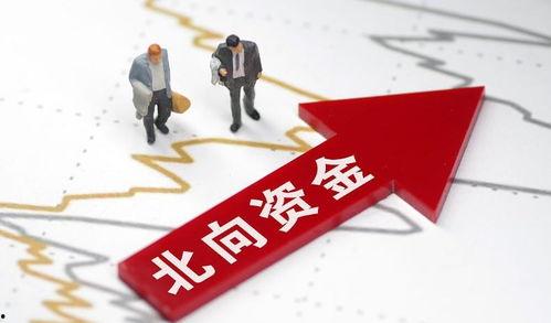 资金最新爆料消息,揭秘市场动向与投资新机遇  第1张