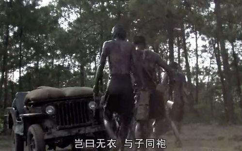 散兵洗白剧情爆料视频,真相大白背后的反转与反转  第2张