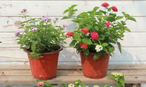 梅西最新爆料大巴车视频  第3张