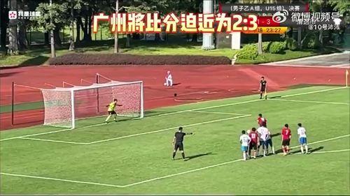 选手爆料假球视频大全集,选手爆料假球视频大全集深度解析  第1张